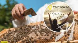 �������� � 1 ����� �������� �������� ����