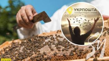 �������� � 1 ����� �������� �������� ����