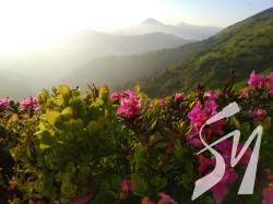 � �������� ������ ����� ������� ����