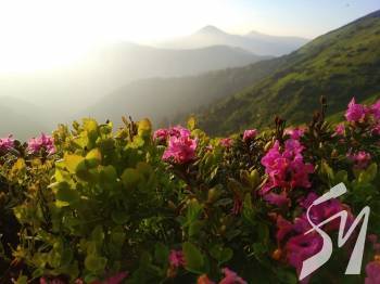 � �������� ������ ����� ������� ����