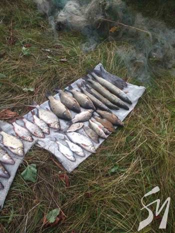 �� ��������-ѳ������� ���������� ��������� ������ ����� 20 �������� ����