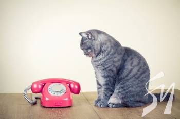 ����������� ���������� 23 ���. �������� ������������� ��������� ��������� ���������