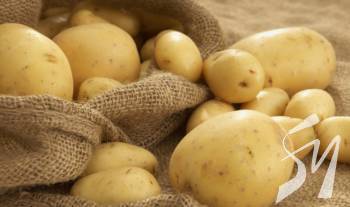 � ������ �������� �������