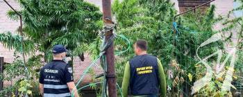 � ������ ��������� �������� ������� �� ������ �������