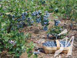 ������ ���� ��� �������� �� ������������� �����������