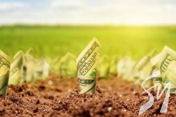 ������ ����������� ������ ���� ����� ���� ����