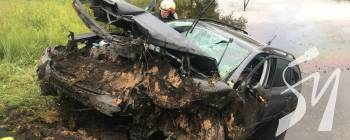 �������� ���� � ������������ �����: ���� ������ ��������