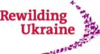 ������������� �������, ���������� ���� ���������