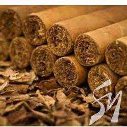 ���������, ������������ � ����������� ������ � � ��� �������