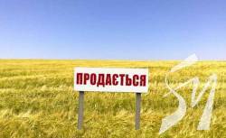 ���������� � ������: �� ����������� ������ ����������� ������� �� 315 �������