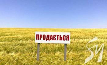 ���������� � ������: �� ����������� ������ ����������� ������� �� 315 �������