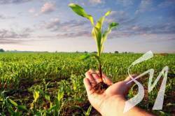 �� ����������� ��������� ����� �� ������������ ����