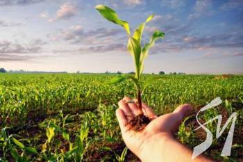 �� ����������� ��������� ����� �� ������������ ����