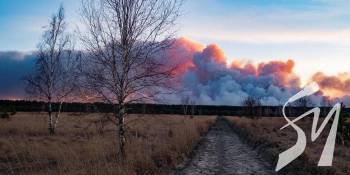 ����������� ��䳿 �� ���� �� �����������: �� ��� � 7 �����