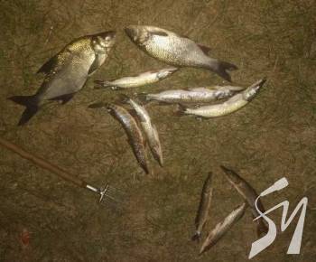 ������� � ���������� ������� ���� ����� �� ����� 30 ���. ���. ������