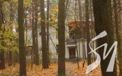 ����� ������-��������� �������: ���� ������������� ������ � �������