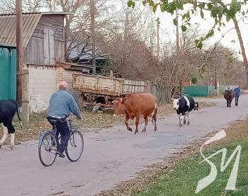 � ��� ������ ������, �� �� ����� ������ �����. ��� ����� � ����