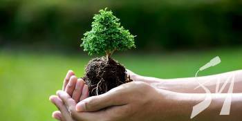 ����������� � ����� ����� ������������� �������� ������� �����