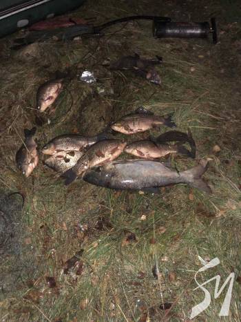 ���������� �� 11 ����� �������� ����� 20 ���.���