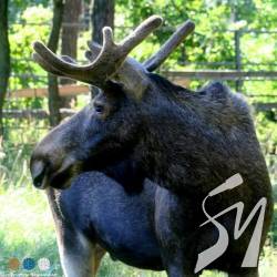 � ����� ����������� ����� ��������� �������, �� ��������� ����������