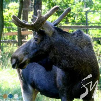 � ����� ����������� ����� ��������� �������, �� ��������� ����������