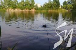 �� ���� �� ����������� ������������ 7 �����, 1 ������ ��������� � ������