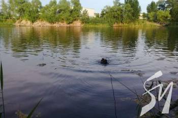 �� ���� �� ����������� ������������ 7 �����, 1 ������ ��������� � ������