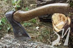 �� ��������� ������� ����� ������������� �� ����������� 109 ���. ���