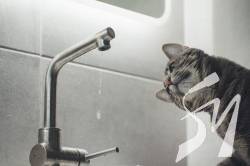 �� ����������� �� ���� ������������ 2 ���������� ��䳿