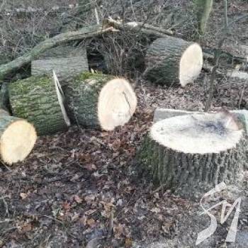 ��� ��������� ������ ��?