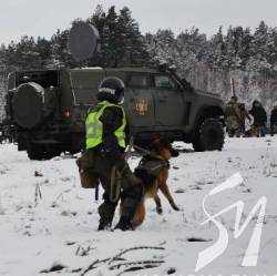 �������� ��������. ³���������� ���������� �� ������ �������� ������� ������� �� �����������