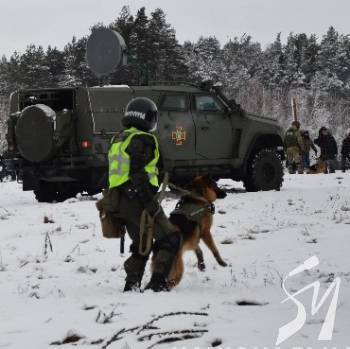 �������� ��������. ³���������� ���������� �� ������ �������� ������� ������� �� �����������