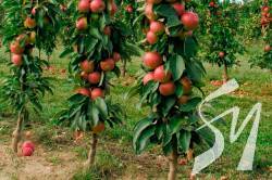 ������������ ������� ��� ��������� ������� ��� ������� �� ������� ��� � ����