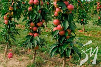 ������������ ������� ��� ��������� ������� ��� ������� �� ������� ��� � ����