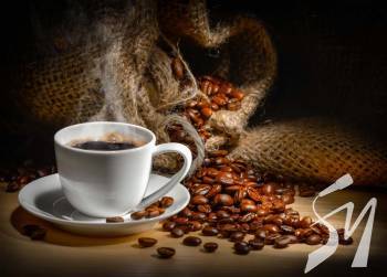 � ��� �������� �������� ����