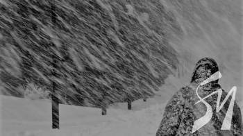 ������ ���� �� ���������: ��䳿� ������������ ��� ��������� ������ �� �����������