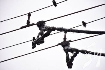 � �������� �������� ����������� ��� ���������� 