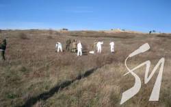 �� ������ ������� ���������� 12 ��������� �������� �����