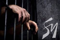 ������������, ���������� ���������� ���� ��������� � ������������ �����, ��������� ������ ����