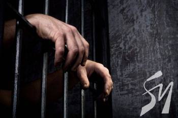 ������������, ���������� ���������� ���� ��������� � ������������ �����, ��������� ������ ����