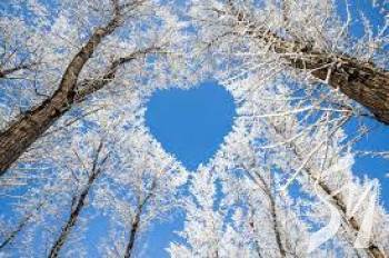 18-20 ������ ��������� ��������� �������� ����