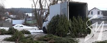 ³� 100 �� 500: � �������� ������ �� ����� ����������� �������