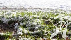 �� ����� ���� � ������ ������� ����� 200 ���. �� �������������