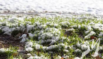 �� ����� ���� � ������ ������� ����� 200 ���. �� �������������