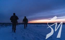 ���� �� ������ ������ ��� ������� - ���� ���