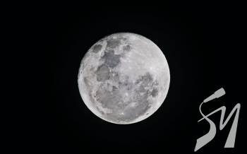 �������� ����� ������� ���� � ������ �������� ������: ���������