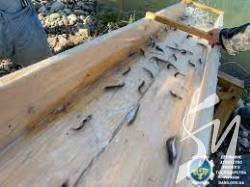 � 2021 ���� ������������������� ����������� ���������������� � ������� ������ ������� ����� 16 ���