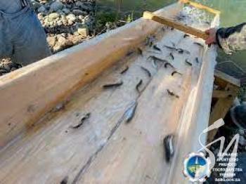 � 2021 ���� ������������������� ����������� ���������������� � ������� ������ ������� ����� 16 ���