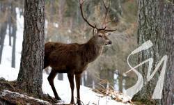 ����� ��������� �������� ����������� ����������