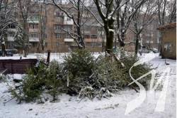 ���� � �������� ����� �������� ������ ���� ����, ��� ���� ���� ����������� � �������